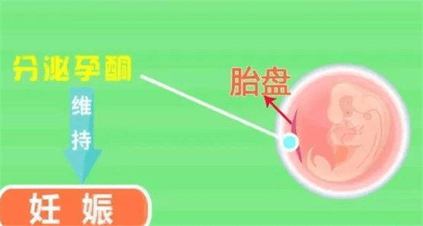 加盟创业项目调研，探索成功的秘诀